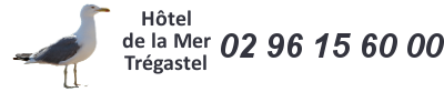 Hôtel de La Mer Trégastel
